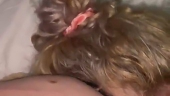 最愛の人に謝り、あなたのペニスを私の口で快楽を与えてください。