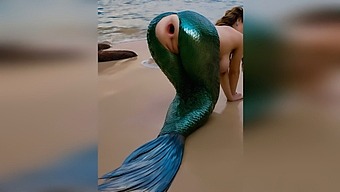 Nieznajomy Energicznie Penetruje Syrenę Na Plaży, Uszkadzając Jej Delikatny Odbyt Skutkujący Otwartą Szparą
